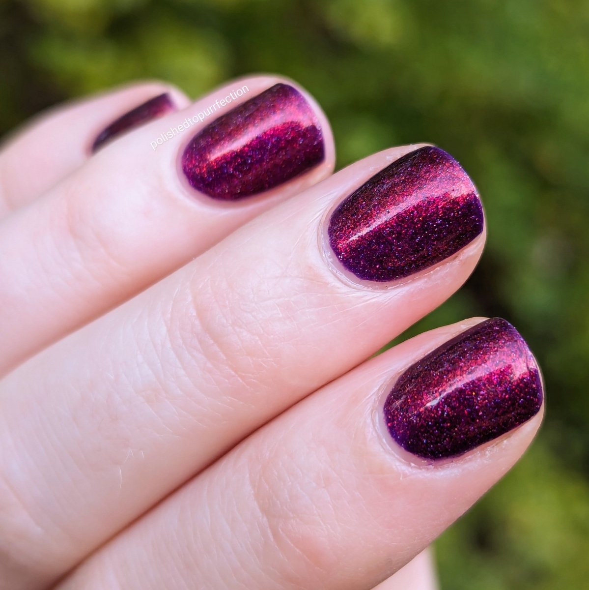 Carina - Cosmic Polish