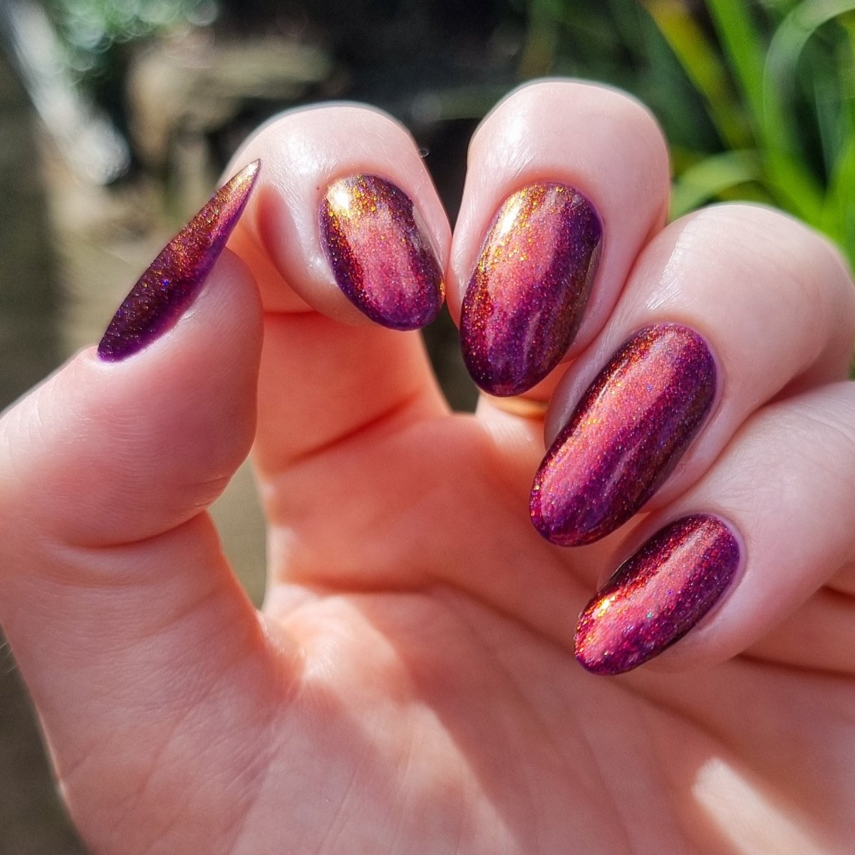 Carina - Cosmic Polish