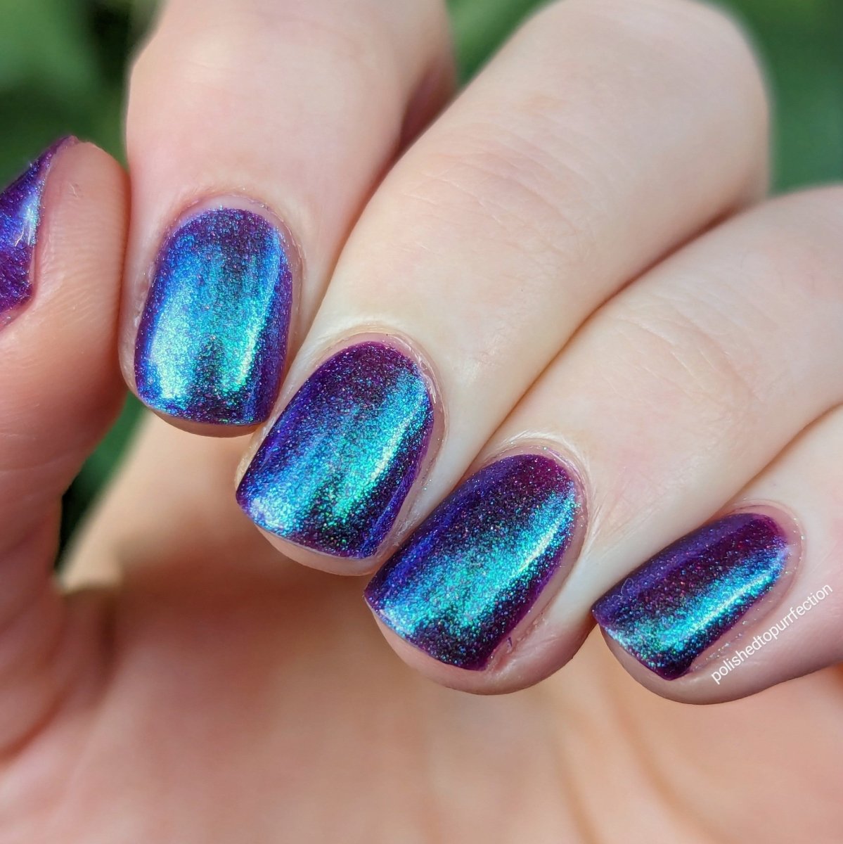 Medusa - Cosmic Polish