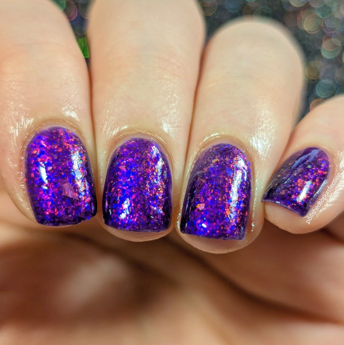 Orchid Bloom - Cosmic Polish