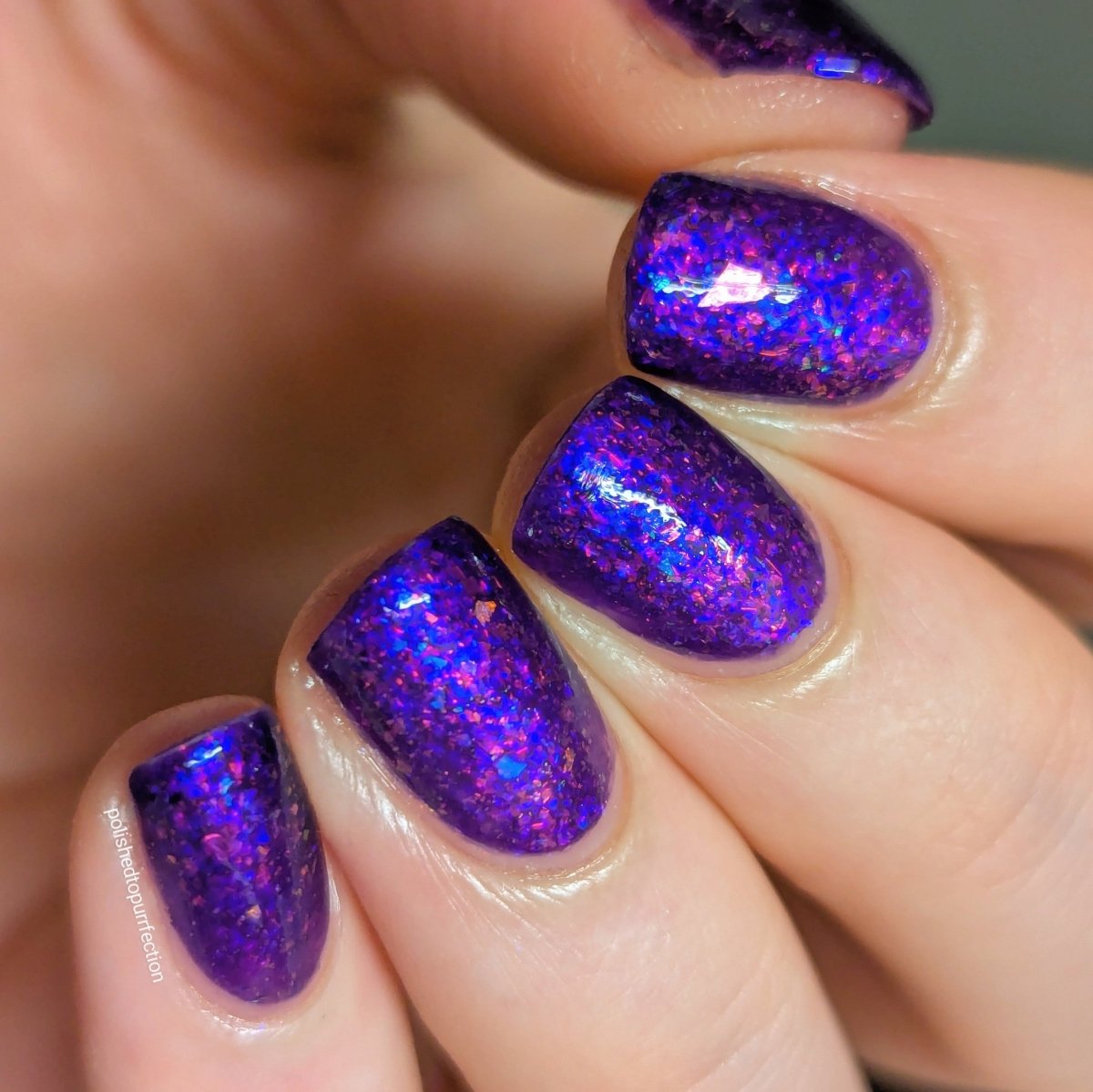 Orchid Bloom - Cosmic Polish